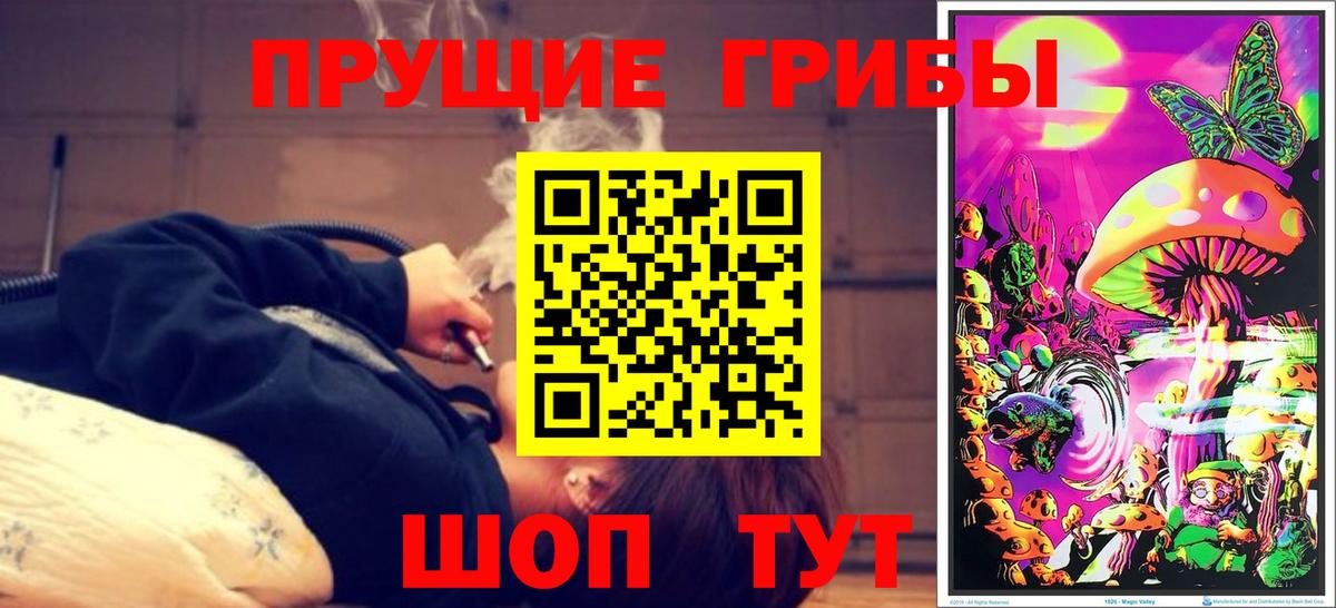 Галлюциногенные грибы Psilocybine cubensis  Вход с VPN  Симферополь  Псилоцибиновые грибы Magic Shrooms 